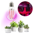 Lâmpada LED para crescimento de plantas VITABLOOM E27/8W/230V 1200K - Brilagi