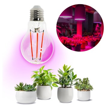 Lâmpada LED para crescimento de plantas VITABLOOM E27/8W/230V 1200K - Brilagi