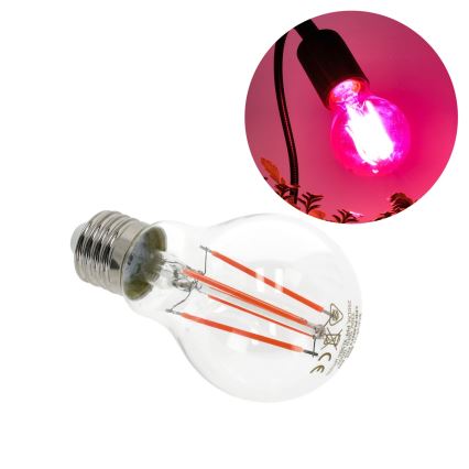 Lâmpada LED para crescimento de plantas VITABLOOM E27/8W/230V 1200K - Brilagi