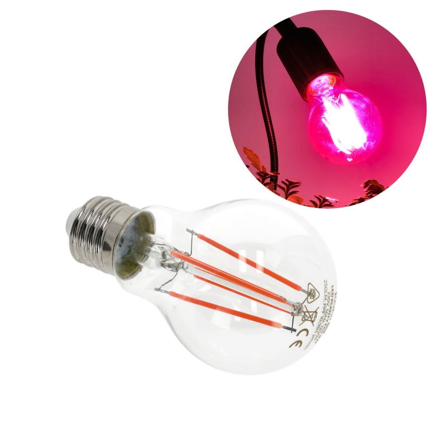 Lâmpada LED para crescimento de plantas VITABLOOM E27/8W/230V 1200K - Brilagi
