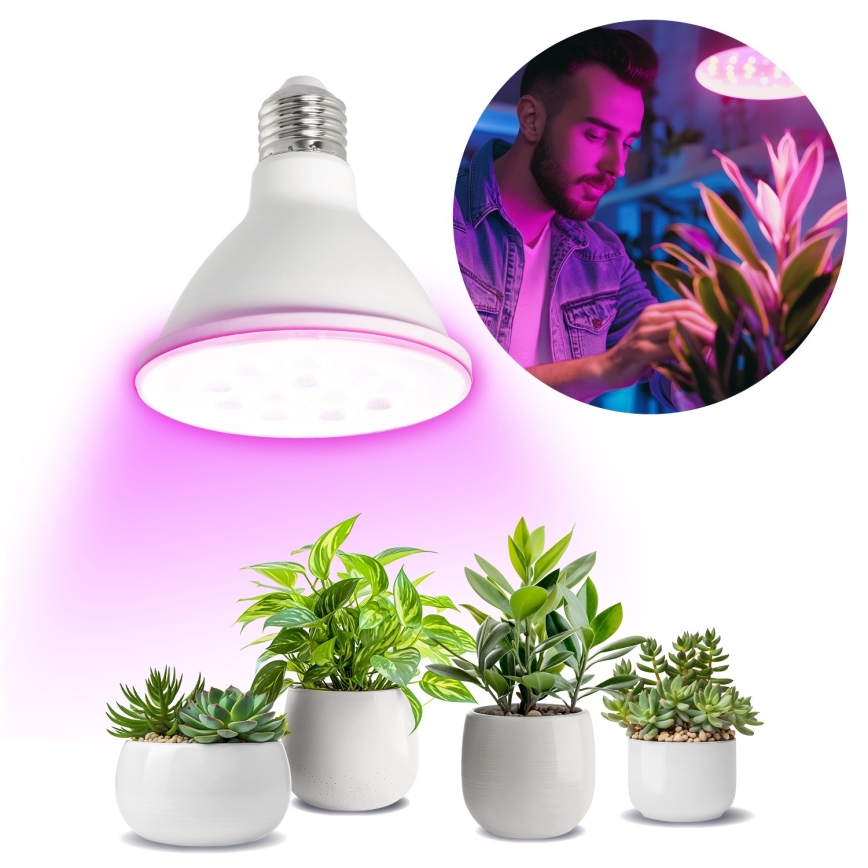 Lâmpada LED para crescimento de plantas VITABLOOM E27/9W/230V 1200K branco - Brilagi