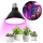 Lâmpada LED para crescimento de plantas VITABLOOM E27/9W/230V 1200K preto - Brilagi