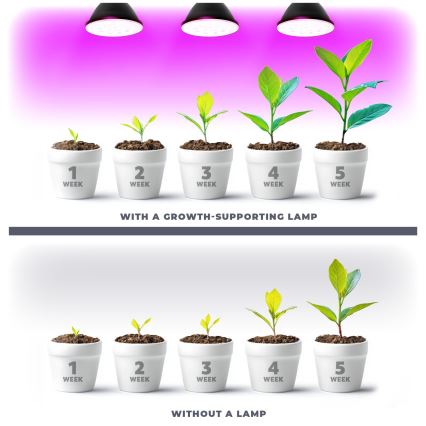 Lâmpada LED para crescimento de plantas VITABLOOM E27/9W/230V 1200K preto - Brilagi