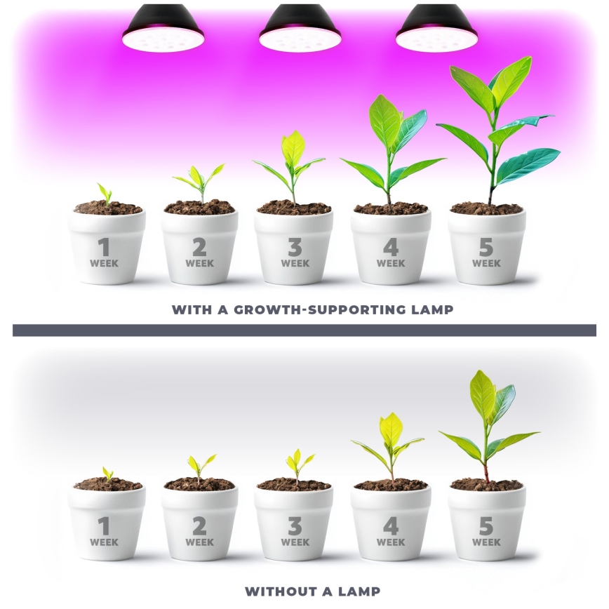 Lâmpada LED para crescimento de plantas VITABLOOM E27/9W/230V 1200K preto - Brilagi