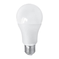 Lâmpada LED PITT A60 1xE27/15W/230V 4,000K