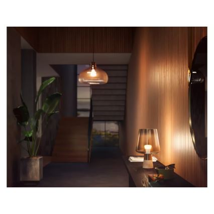 Lâmpada LED regulável Philips Hue WHITE E27/13,5W/230V 2700K
