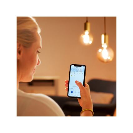Lâmpada LED Regulável VINTAGE FILAMENT G200 E27/6W/230V 2000-5000K CRI 90 Wi-Fi - WiZ