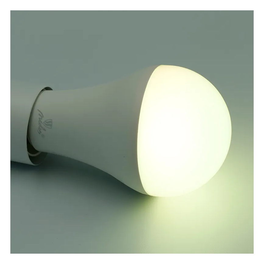 Lâmpada LED RGBW com regulação A60 E27/15W/230V 2700-6500K Wi-Fi Tuya