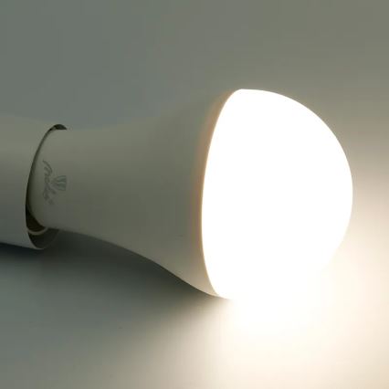 Lâmpada LED RGBW com regulação A60 E27/15W/230V 2700-6500K Wi-Fi Tuya
