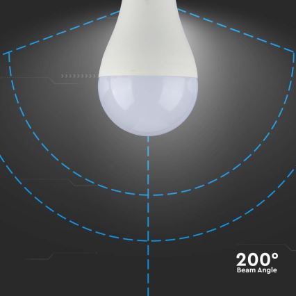 Lâmpada LED SAMSUNG CHIP A65 E27/17W/230V 3000K
