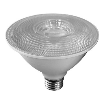 Lâmpada LED SAMSUNG CHIP PAR30 E27/11W/230V 6500K