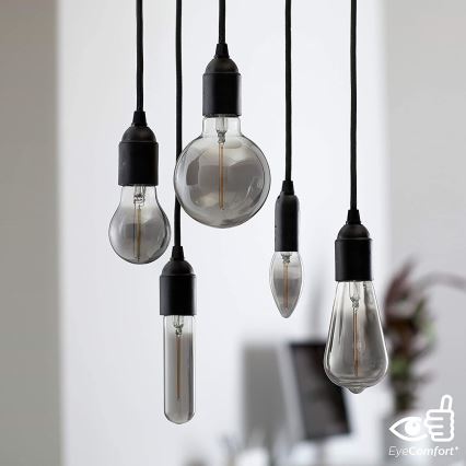 Lâmpada LED SMOKY VINTAGE Philips T32 E27/2,3W/230V 1800K