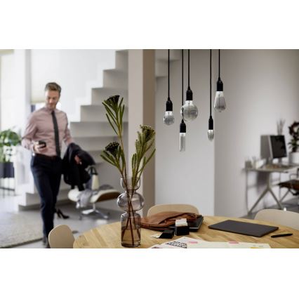 Lâmpada LED SMOKY VINTAGE Philips T32 E27/2,3W/230V 1800K