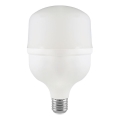 Lâmpada LED T100 E27/30W/230V 6500K
