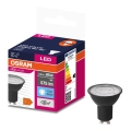 Lâmpada LED VALUE PAR16 GU10/6,9W/230V 6500K 36° preto - Ledvance