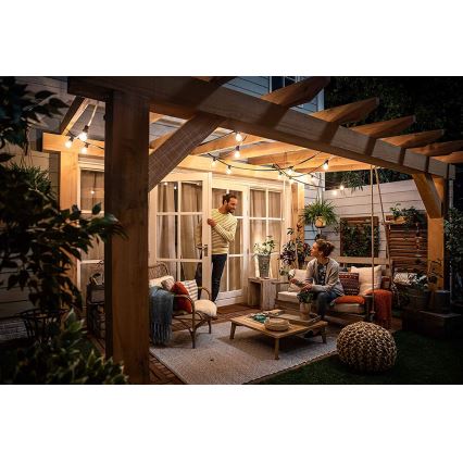 Lâmpada LED VINTAGE Philips A60 E27/7W/230V 2700K