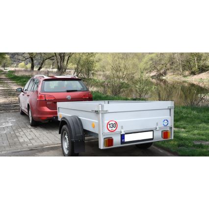 Lâmpada terminal combinada LED 12V