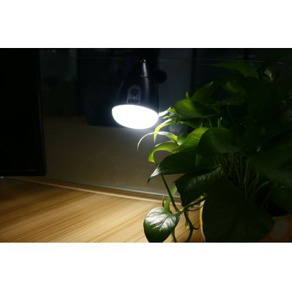 Lanterna LED CLIP LED/5W/5V 4000K