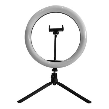 LED CAndeeiro com regulação, tripé e suporte para vlogging LED/10W/5V 3200-5500K