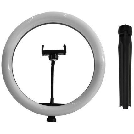 LED CAndeeiro com regulação, tripé e suporte para vlogging LED/10W/5V 3200-5500K