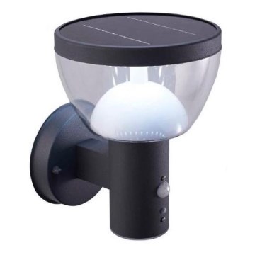 LED Exterior solar iluminação de parede com uma sensor LARIX LED/3W/3,7V IP44