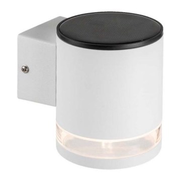 LED Exterior solar iluminação de parede LED/1W/3,7V 3000K IP54 branco
