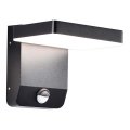 LED Exterior wall flexible iluminação com sensor LED/17W/230V IP65 3000K preto