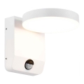 LED Exterior wall flexible iluminação com sensor LED/17W/230V IP65 4000K branco