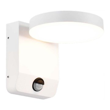 LED Exterior wall flexible iluminação com sensor LED/17W/230V IP65 4000K branco