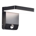 LED Exterior wall flexible iluminação com sensor LED/17W/230V IP65 4000K preto