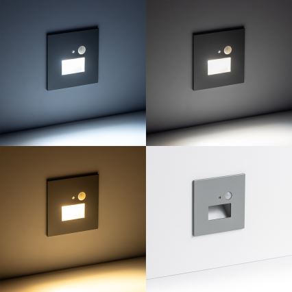 LED Iluminação de escada com um sensor de movimento LED/1,5W/230V 3000K/4000K/6500K