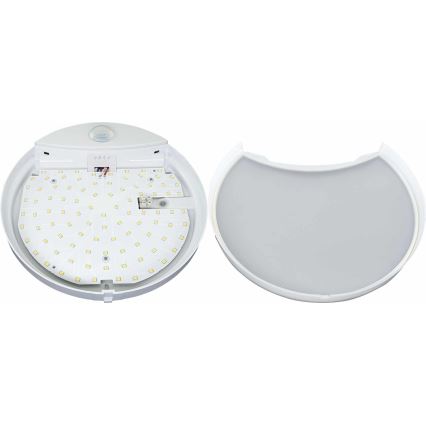 LED Iluminação de parede exterior com sensor HIBIS LED/15W/230V IP44
