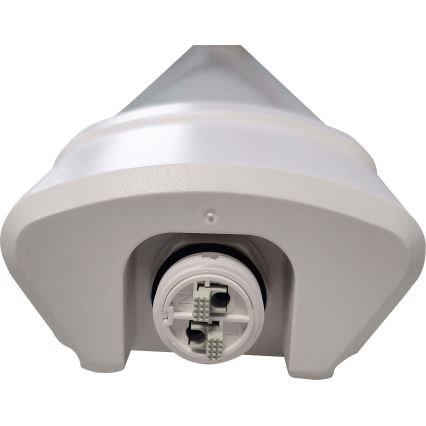 LED Iluminação fluorescente DAISY LED/40W/230V 4000K IP65