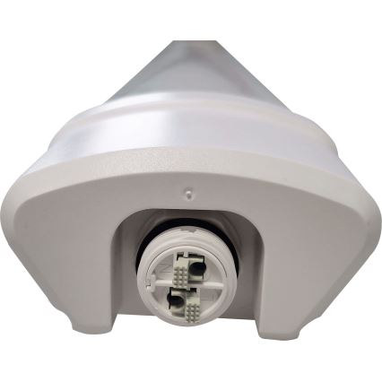 LED Iluminação fluorescente DAISY LED/80W/230V 4000K IP65