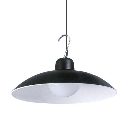 LED Iluminação solar suspensa com regulação e sensor de crepúsculo LED/6W/3,7V 800 mAh IP44 + controlo remoto