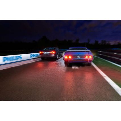 LED Lâmpada de carro Philips X-TREME VISION 129454000KX1 C5W SV8,5/1W/12V 4000K