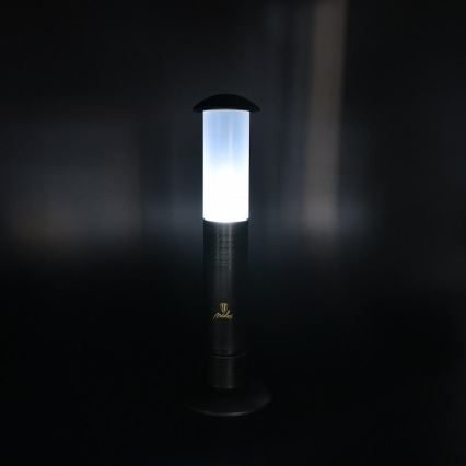LED Lâmpada portátil 2xLED/1xD IPX4