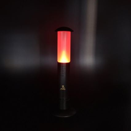 LED Lâmpada portátil 2xLED/1xD IPX4
