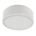 LED Módulo regulável LED/12W/230V 3000K - Eglo 78778