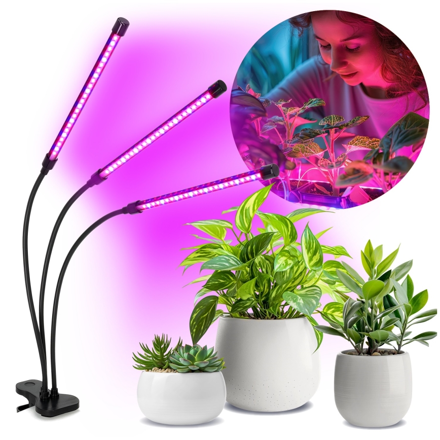 LED Regulação flexible candeeiro de mesa com clipe para o cultivo de plantas VITARO 3xLED/10W/230V preto