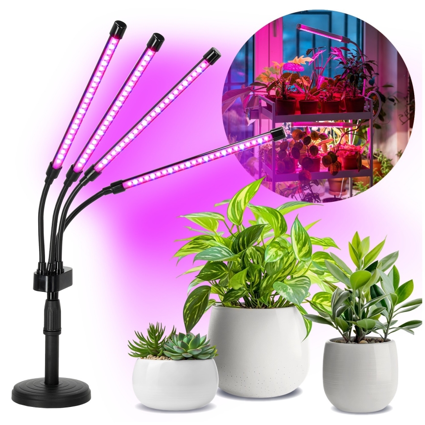 LED Regulação flexível candeeiro de mesa para o cultivo de plantas VITARO 4xLED/10W/230V preto