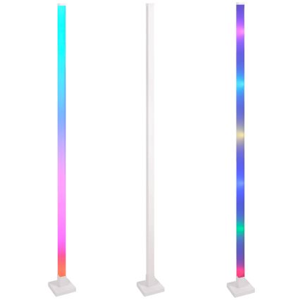 LED RGBW Candeeiro de chão com regulação MAGICAL LED/7W/230V + comando