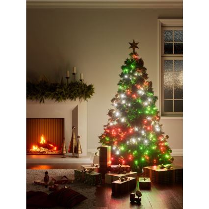 Nanoleaf - LED RGBW Exterior Corrente de Natal ESSENTIALS 250xLED 2x10m 2700-6500K Wi-Fi IP44