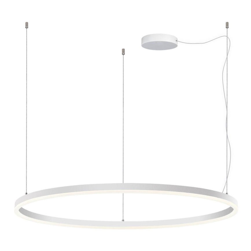 LED2 - Candeeiro suspenso LED com regulação CIRCLE LED/80W/230V 3000K/4000K diâmetro 100 cm branco