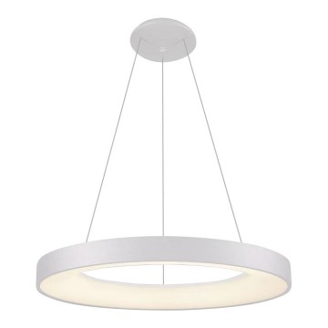 LED2 - Candelabro suspenso LED BELLA LED/50W/230V 3000K diâmetro 60 cm branco