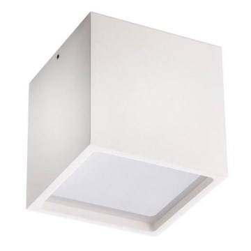 LED2 - Iluminação de teto exterior LED CUBE LED/12W/230V branca