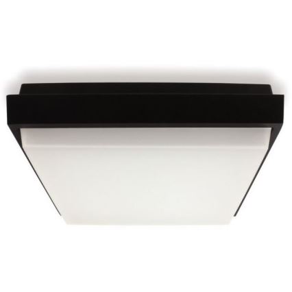 LED2 - Iluminação de teto exterior LED QUADO LED/10W/230V antracite IP54