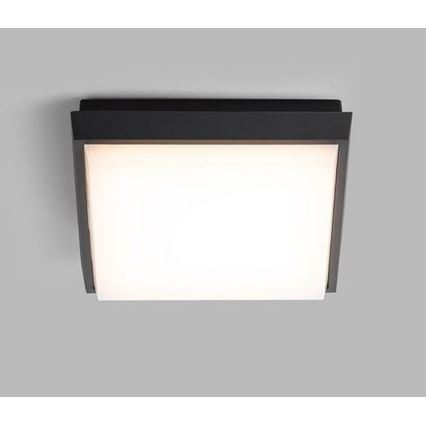 LED2 - Iluminação de teto exterior LED QUADO LED/10W/230V antracite IP54