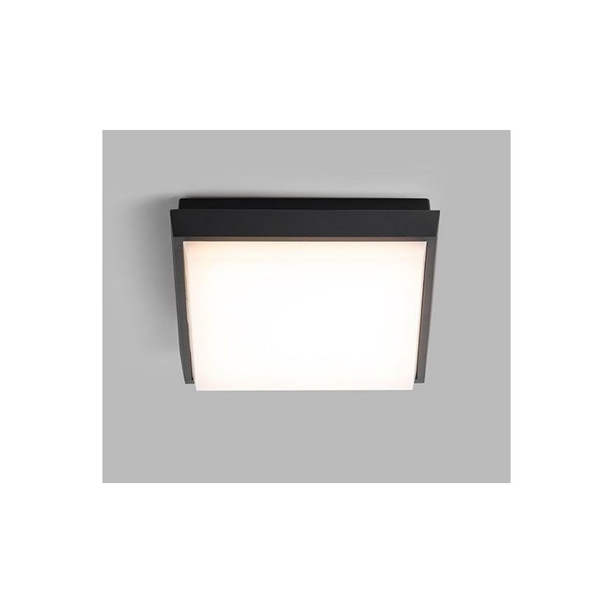 LED2 - Iluminação de teto exterior LED QUADO LED/10W/230V antracite IP54