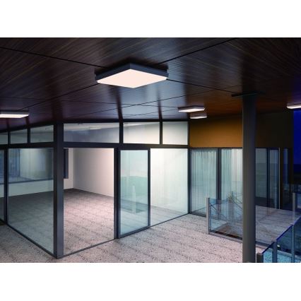 LED2 - Iluminação de teto exterior LED QUADO LED/10W/230V antracite IP54